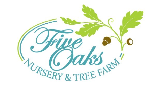 Five Oaks Nursery and Tree Farm