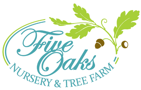 Five Oaks Nursery and Tree Farm